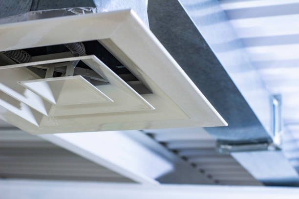 Air Duct Mold Removal in Lowell, IN