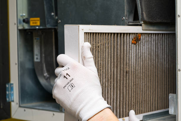 Best Home Air Vent Cleaning  in Lowell, IN